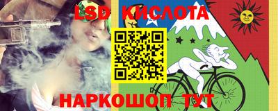 jwh Кингисепп