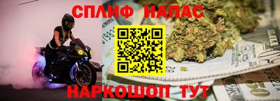 jwh Кингисепп