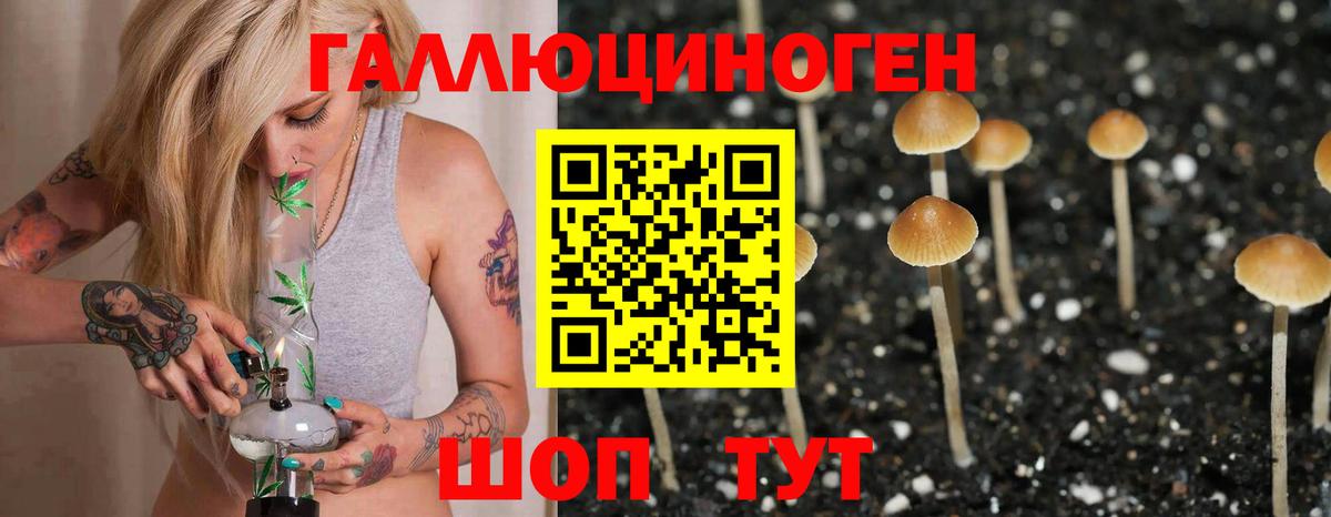 Костомукша  купить  сайты  Вход с VPN  Галлюциногенные грибы мицелий  Галлюциногенные грибы мицелий 
